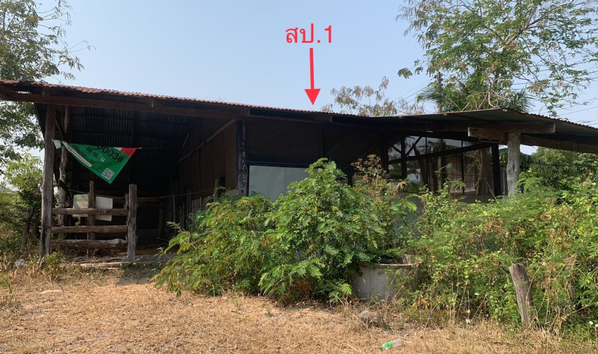 อื่นๆ ยโสธร เมืองยโสธร ทุ่งแต้ 881000