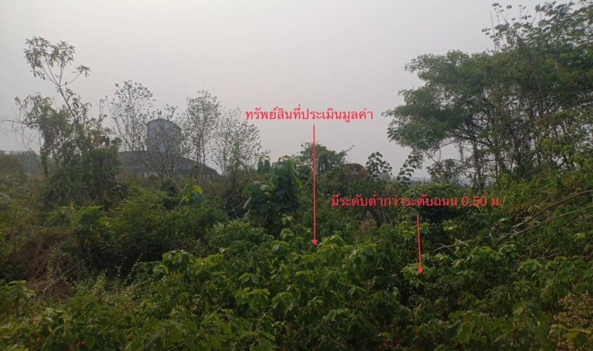Misc. Phrae Song Ban Nun 4458000