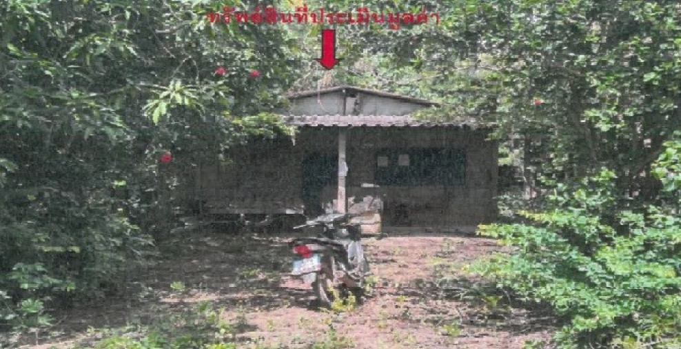 Single house Phetchabun Nong Phai Na Chaliang 395000