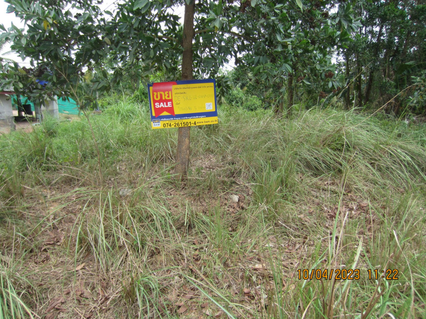 Residential land/lot Songkhla Chana Khu 206000