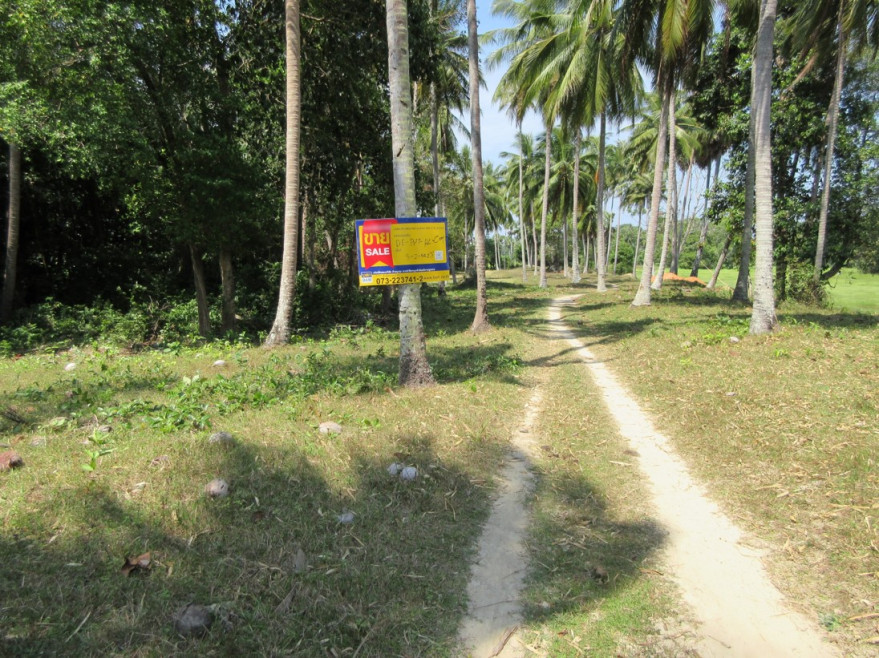 Residential land/lot Pattani Sai Buri Talu Ban 683000