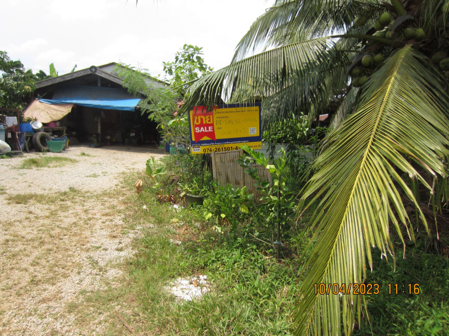Residential land/lot Songkhla Chana Khu 248000