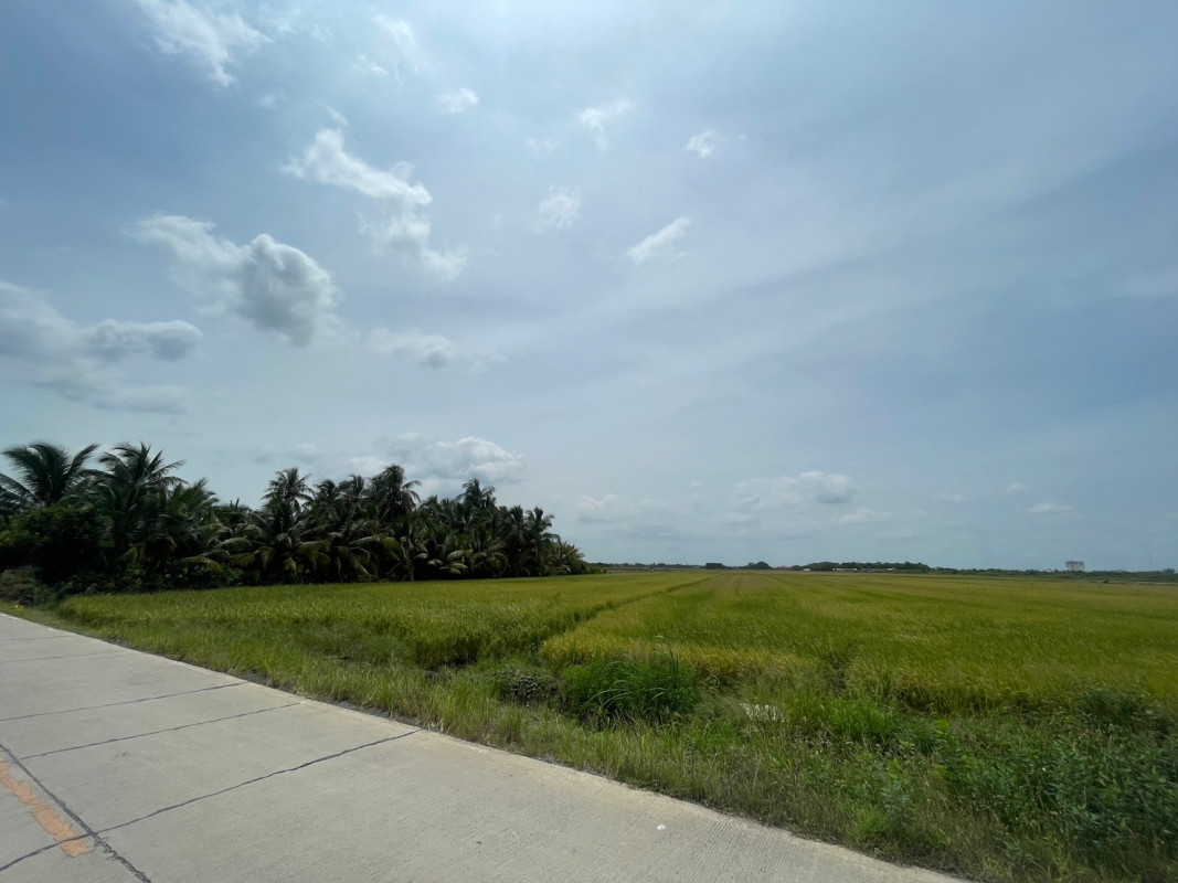 ที่ดินเปล่า ฉะเชิงเทรา เมืองฉะเชิงเทรา คลองอุดมชลจร 80874000