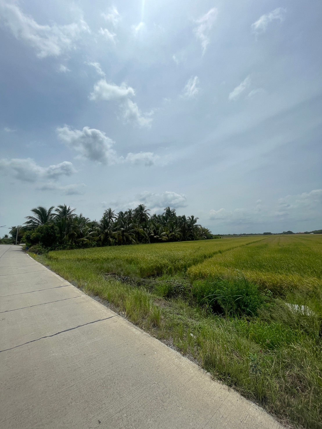 ที่ดินเปล่า ฉะเชิงเทรา เมืองฉะเชิงเทรา คลองอุดมชลจร 80874000