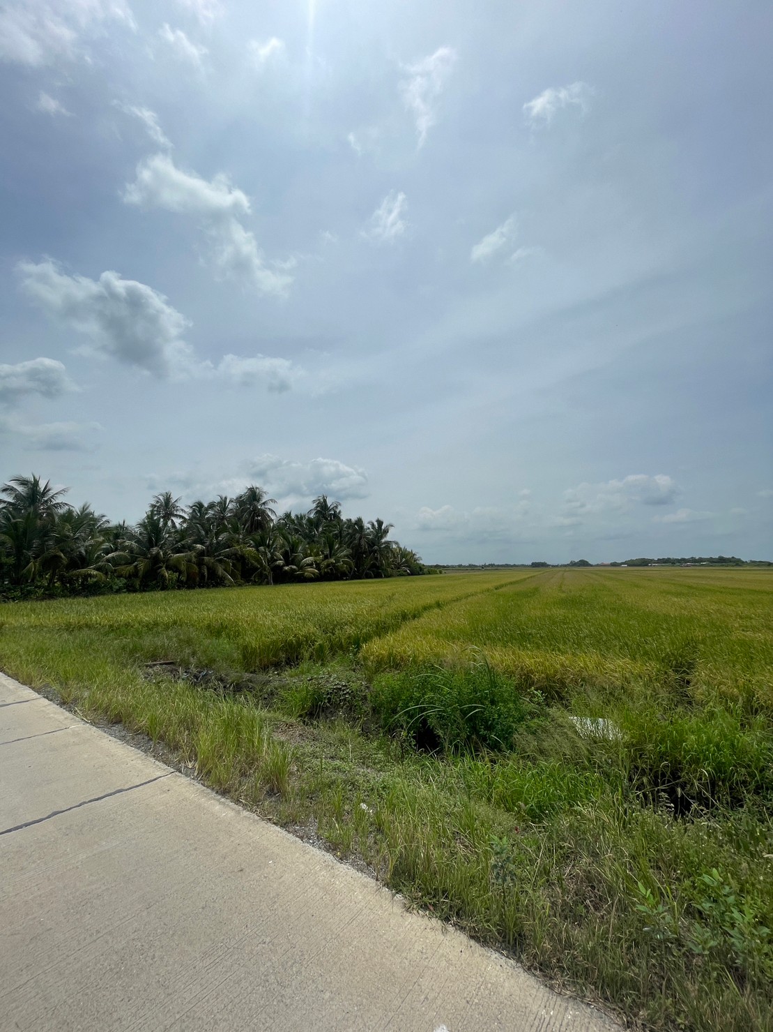 ที่ดินเปล่า ฉะเชิงเทรา เมืองฉะเชิงเทรา คลองอุดมชลจร 80874000