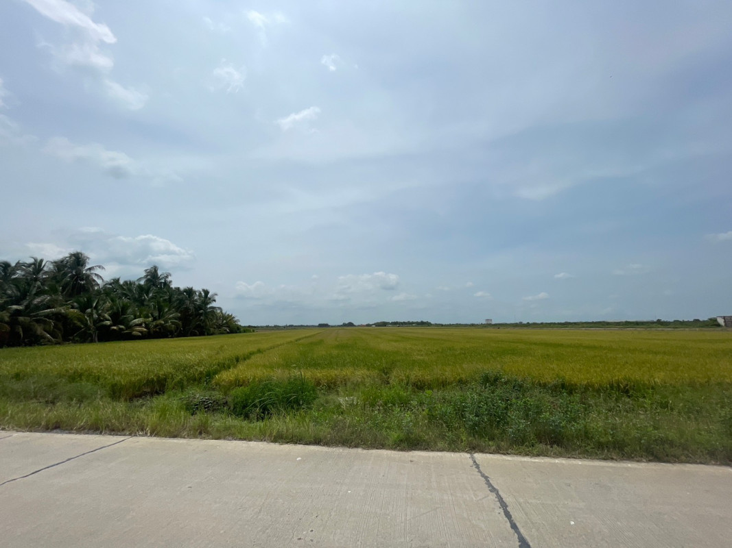 ที่ดินเปล่า ฉะเชิงเทรา เมืองฉะเชิงเทรา คลองอุดมชลจร 80874000