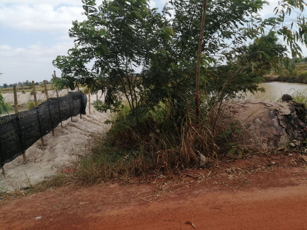 Residential land/lot Nakhon Phanom Renu Nakhon Na Ngam 16500000