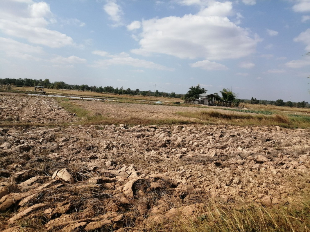 Residential land/lot Nakhon Phanom Renu Nakhon Na Ngam 16500000