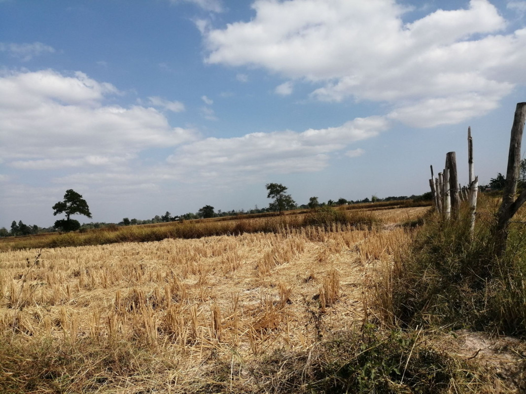 Residential land/lot Nakhon Phanom Renu Nakhon Na Ngam 16500000