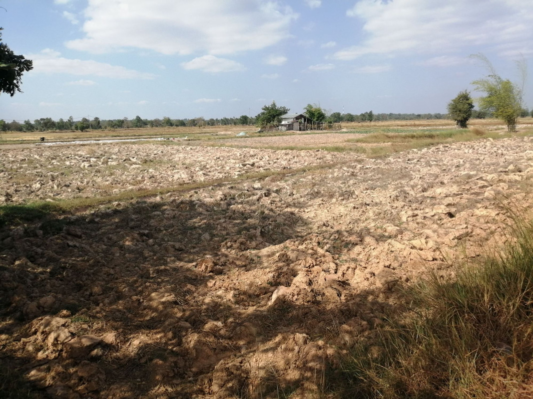 Residential land/lot Nakhon Phanom Renu Nakhon Na Ngam 16500000