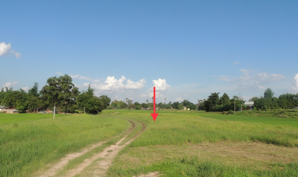 Residential land/lot Yasothon Mueang Yasothon Tat Thong 13658000