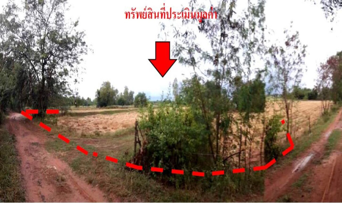 ที่ดินเปล่า ขอนแก่น พล โนนข่า 1573000