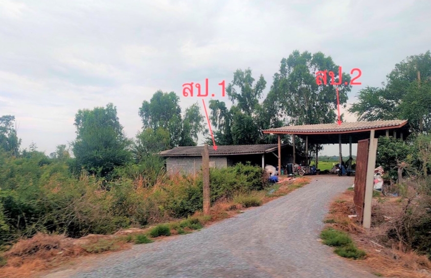 บ้านเดี่ยว สุพรรณบุรี สองพี่น้อง บ้านช้าง 3638000