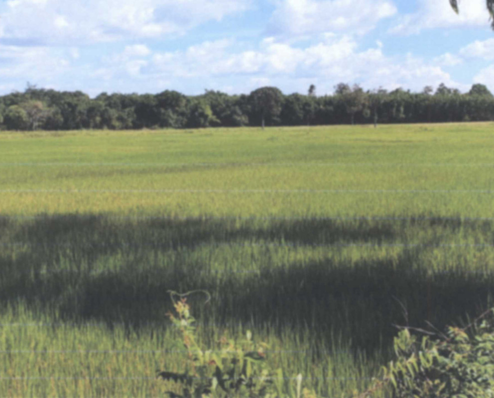 Residential land/lot Nakhon Phanom Mueang Nakhon Phanom Kham Thao 0