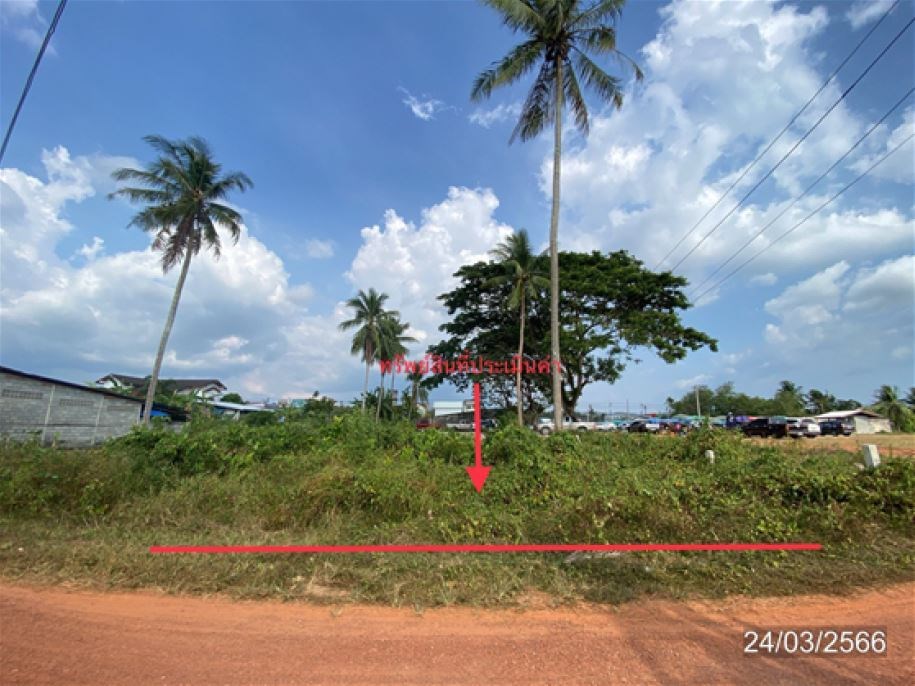 ที่ดินเปล่า สตูล เมืองสตูล คลองขุด 707000