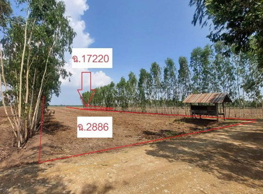 ที่ดินเปล่า นครสวรรค์ ท่าตะโก วังมหากร 542400