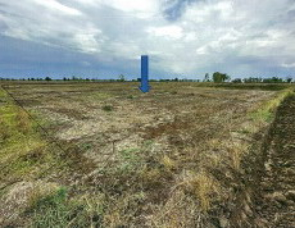 Residential land/lot Phayao Dok Khamtai San Khong 314500