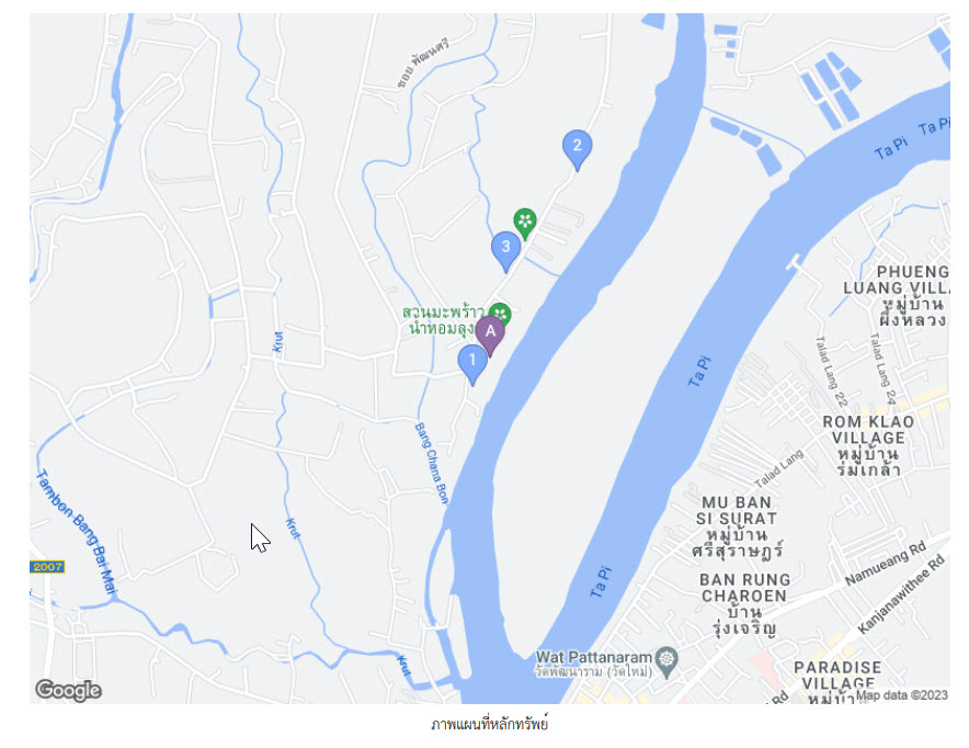 ที่ดินเปล่า สุราษฎร์ธานี เมืองสุราษฎร์ธานี คลองฉนาก 10007000