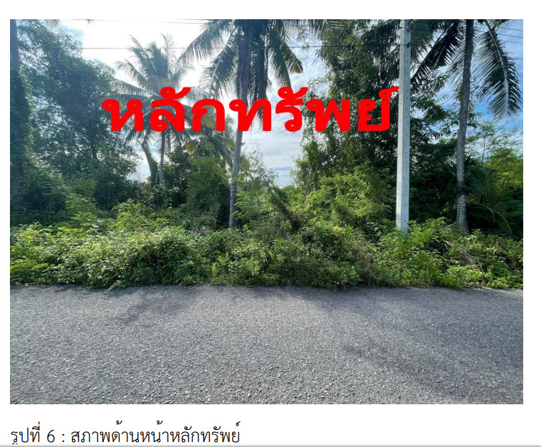 ที่ดินเปล่า สุราษฎร์ธานี เมืองสุราษฎร์ธานี คลองฉนาก 10007000
