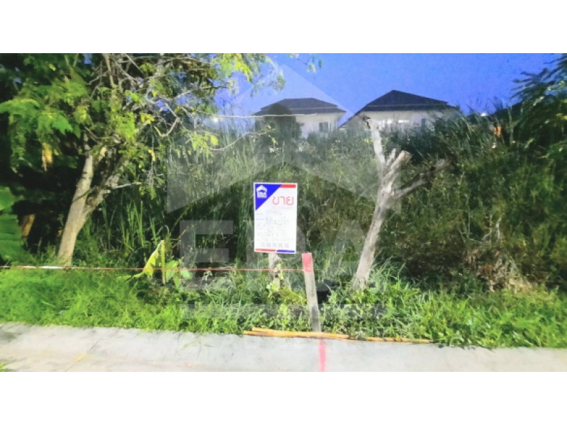 ที่ดินเปล่า ปทุมธานี ธัญบุรี รังสิต 1035000