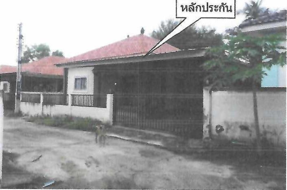 บ้านเดี่ยว นครราชสีมา เมืองนครราชสีมา หนองบัวศาลา 1135000