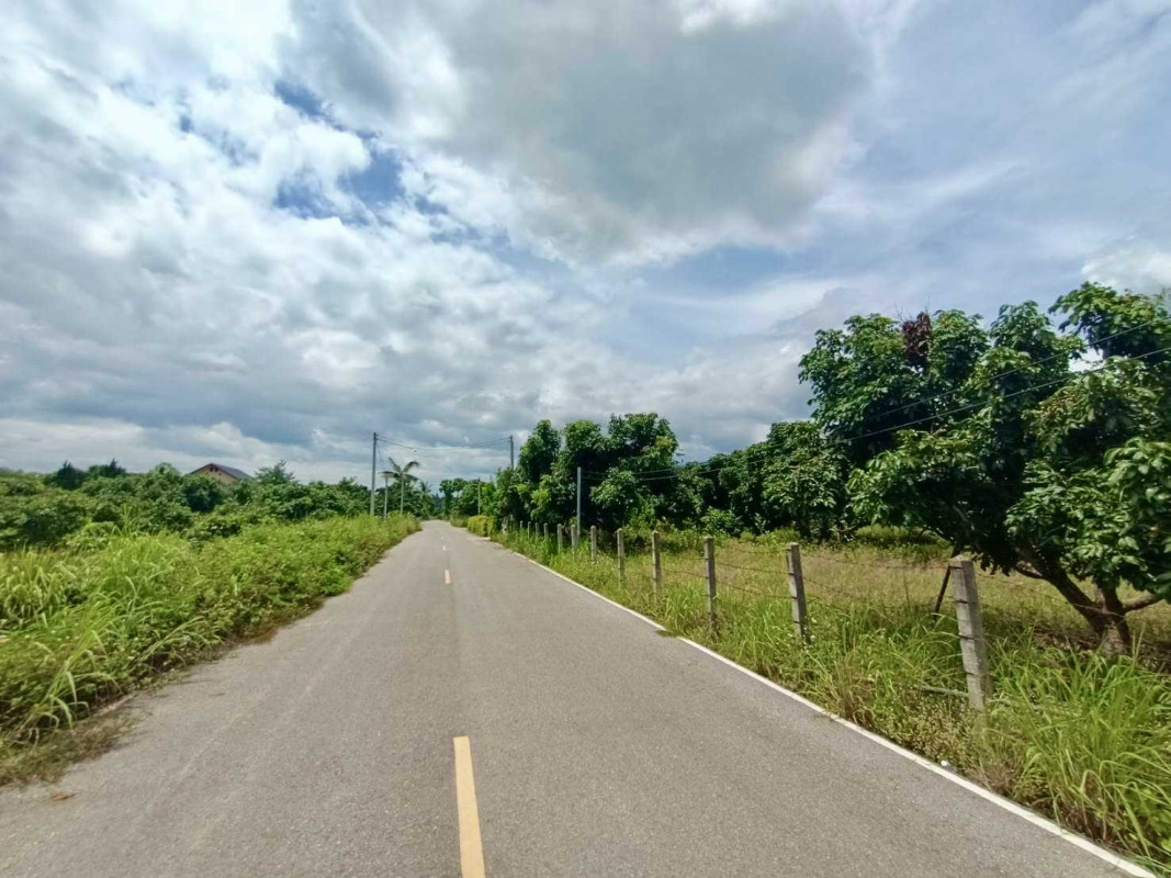 ที่ดินเปล่า เชียงราย แม่สรวย ศรีถ้อย 1833425