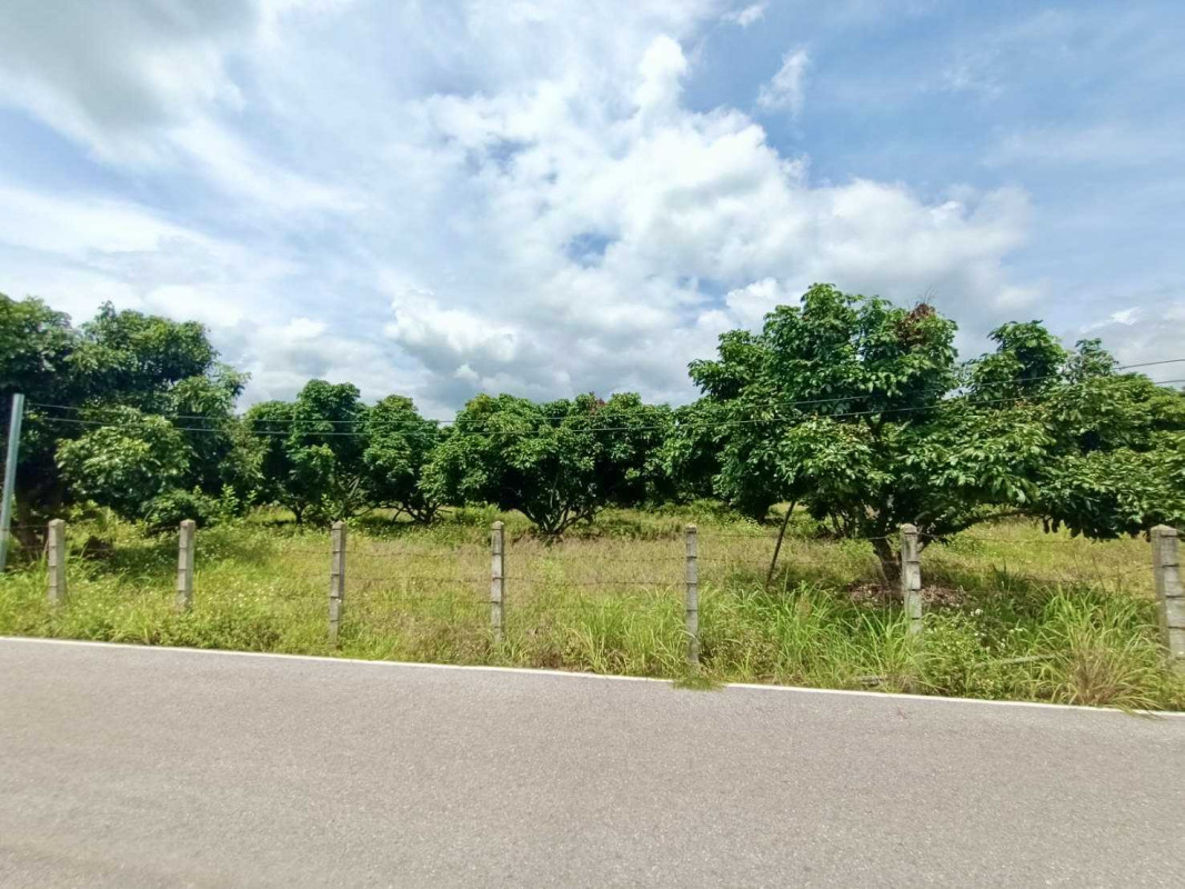 ที่ดินเปล่า เชียงราย แม่สรวย ศรีถ้อย 1833425