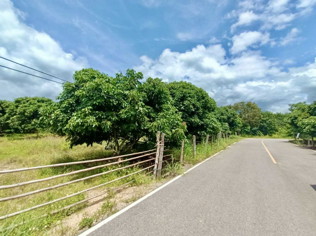 ที่ดินเปล่า เชียงราย แม่สรวย ศรีถ้อย 1833425
