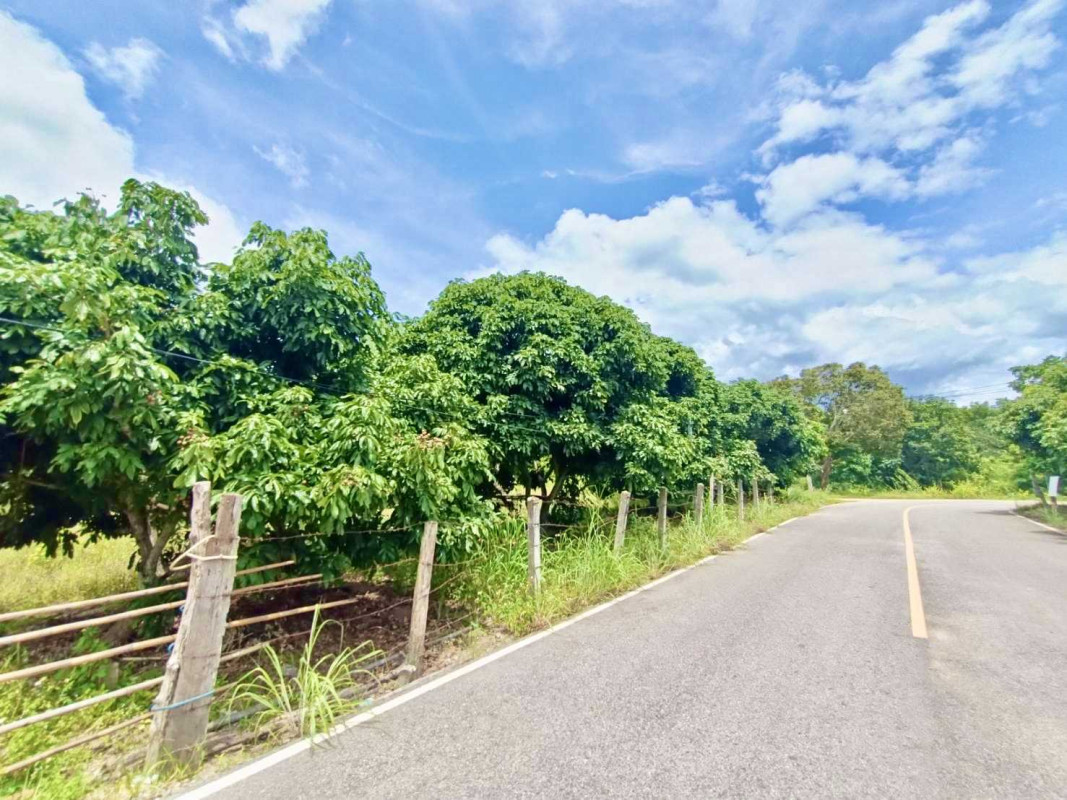 ที่ดินเปล่า เชียงราย แม่สรวย ศรีถ้อย 1833425
