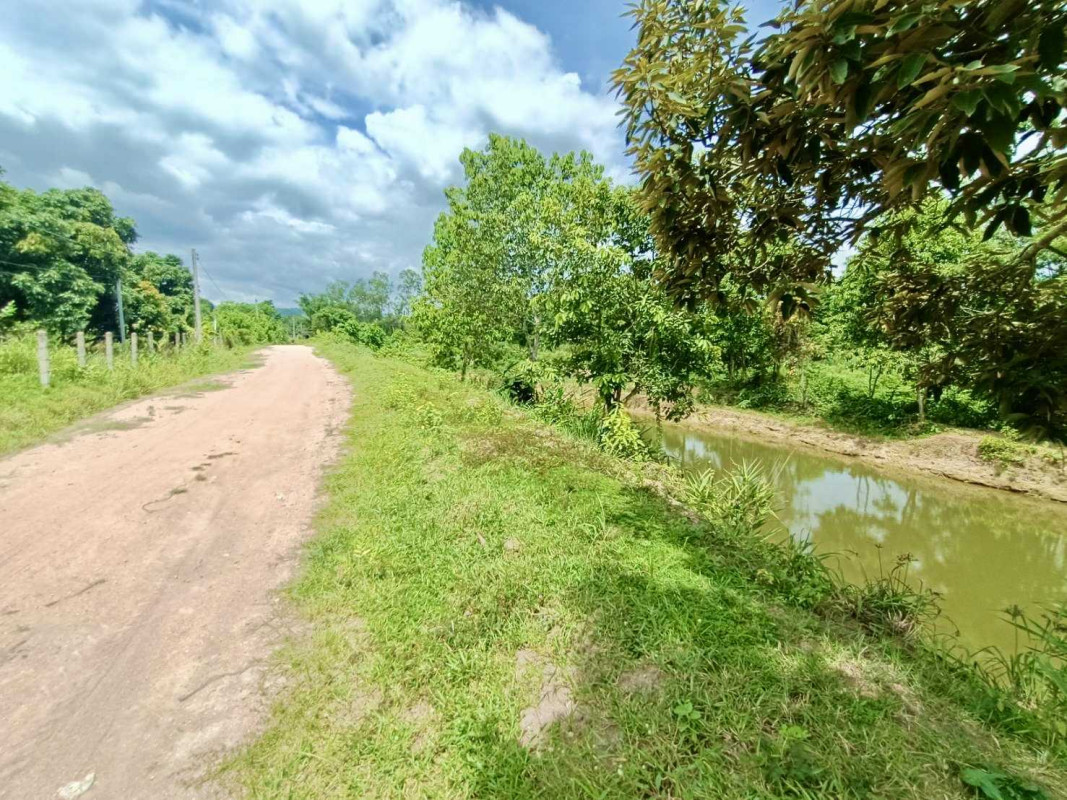 ที่ดินเปล่า เชียงราย แม่สรวย ศรีถ้อย 1833425