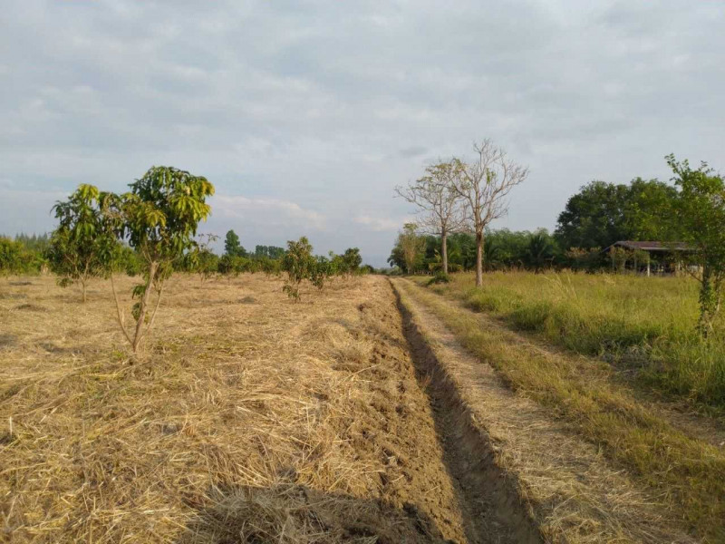 Residential land/lot Sa Kaeo Wang Sombun Wang Sombun 1950000
