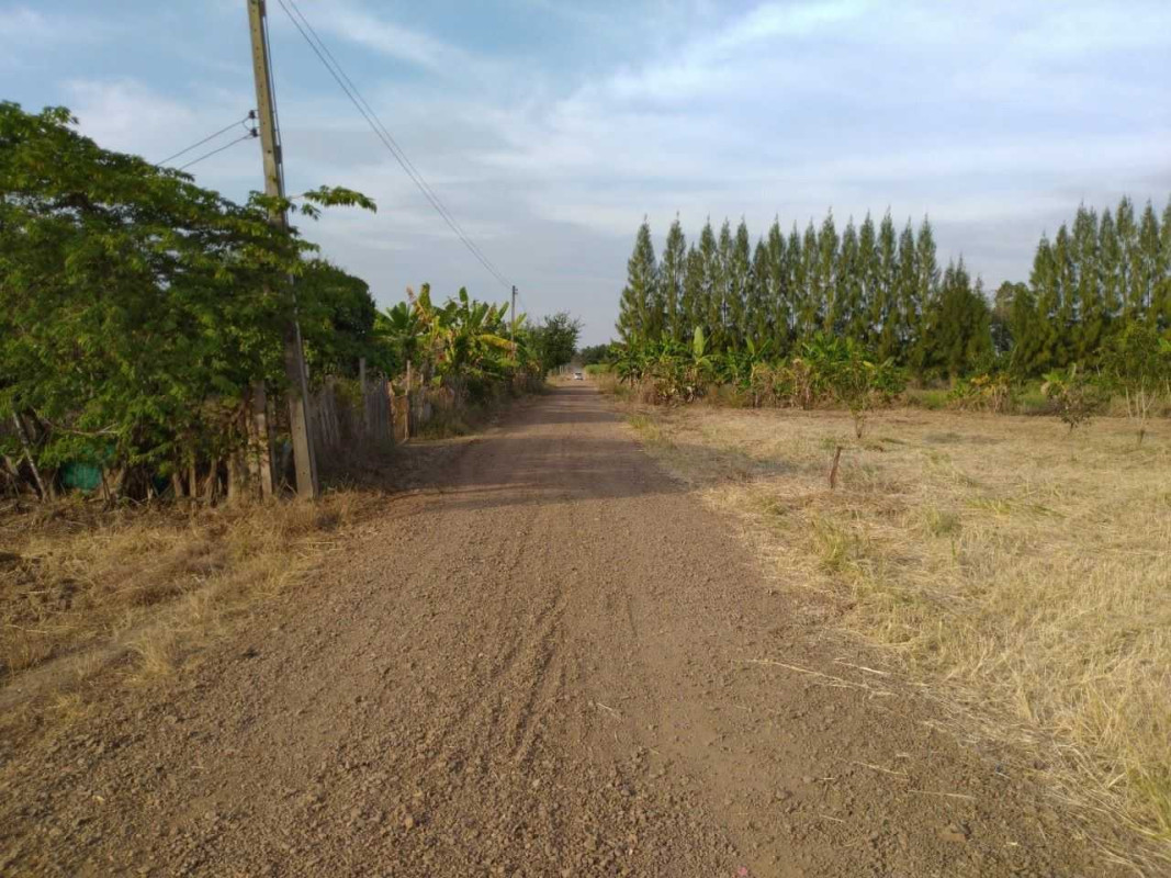 Residential land/lot Sa Kaeo Wang Sombun Wang Sombun 1950000
