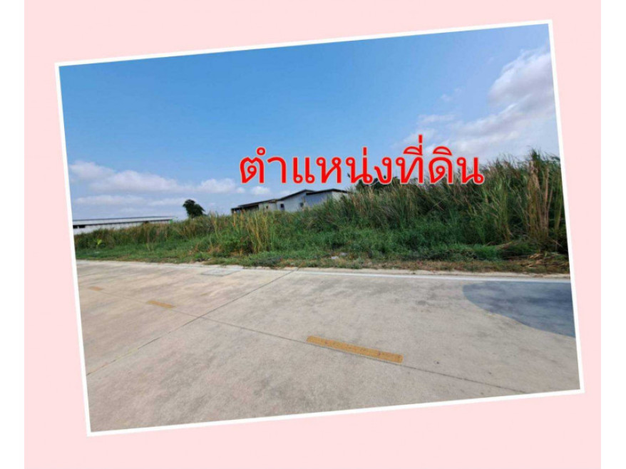 Residential land/lot Pathum Thani Lam Luk Ka Lat Sawai 6500000
