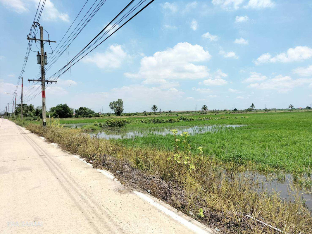 ที่ดินเปล่า ฉะเชิงเทรา เมืองฉะเชิงเทรา คลองอุดมชลจร 4826250