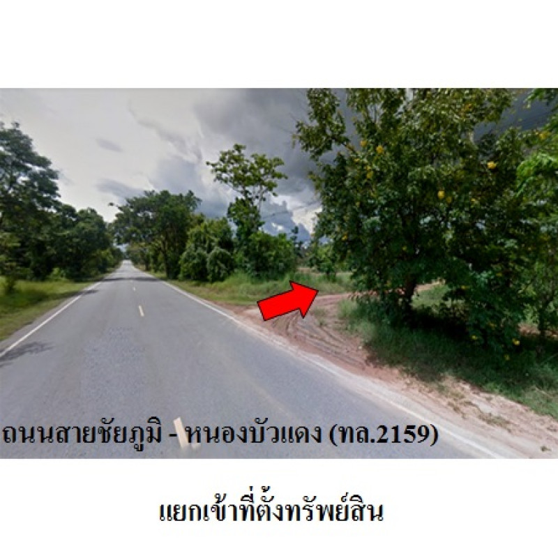 ที่ดินเปล่า มรกต ชัยภูมิ เมืองชัยภูมิ นาฝาย 289000
