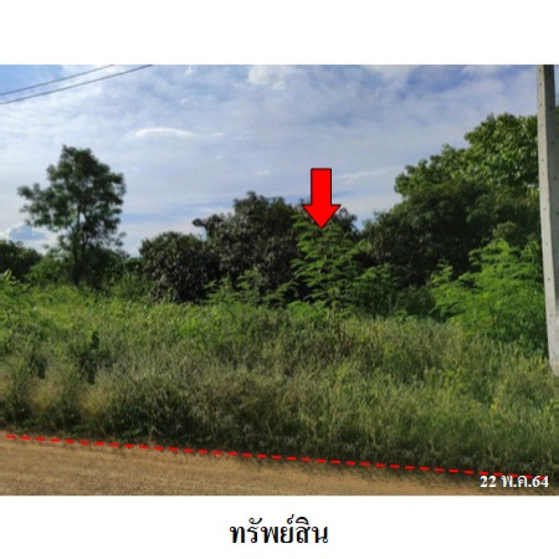 ที่ดินเปล่า เพชรบูรณ์การ์เด้นฮิลล์ เพชรบูรณ์ บึงสามพัน กันจุ 347000
