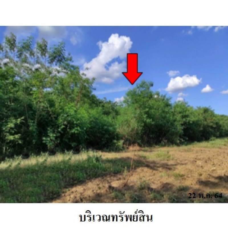 ที่ดินเปล่า เพชรบูรณ์การ์เด้นฮิลล์ เพชรบูรณ์ บึงสามพัน กันจุ 134000