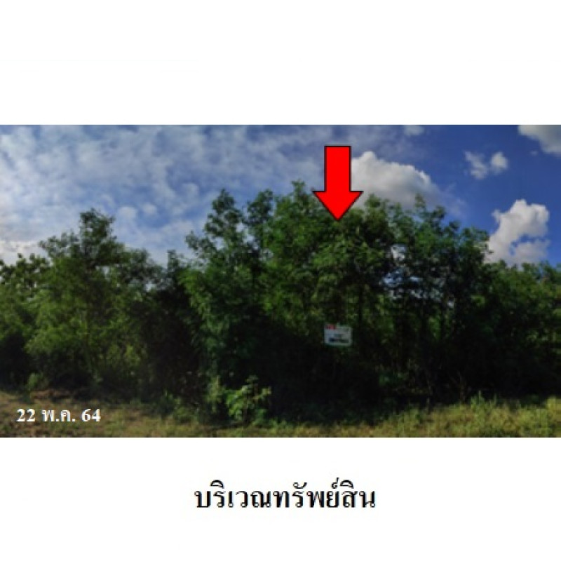 ที่ดินเปล่า เพชรบูรณ์การ์เด้นฮิลล์ เพชรบูรณ์ บึงสามพัน กันจุ 134000