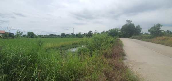 ที่ดินเปล่า ฉะเชิงเทรา เมืองฉะเชิงเทรา คลองอุดมชลจร 73000000