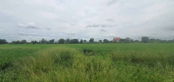 ที่ดินเปล่า ฉะเชิงเทรา เมืองฉะเชิงเทรา คลองอุดมชลจร 73000000