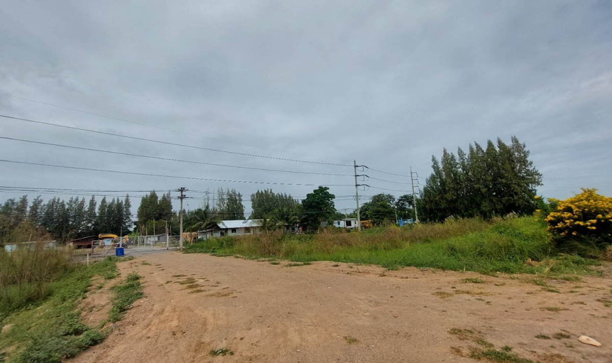 Residential land/lot Phra Nakhon Si Ayutthaya Maha Rat Tha To 60000000