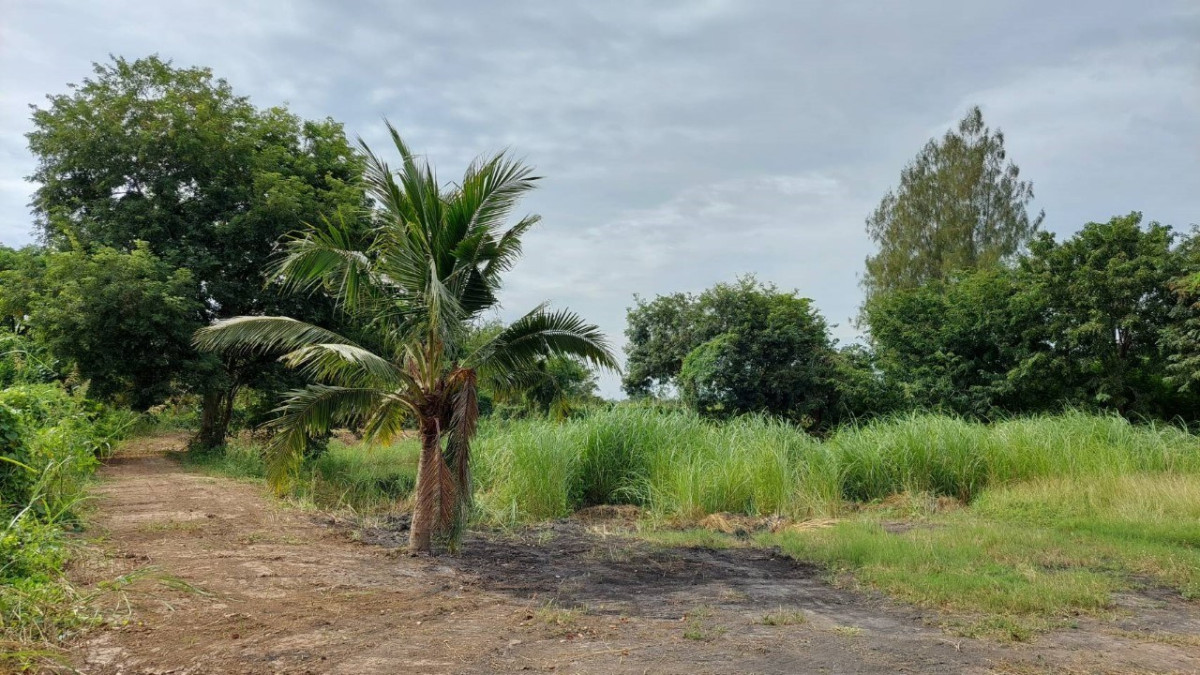 Residential land/lot Phra Nakhon Si Ayutthaya Maha Rat Tha To 60000000
