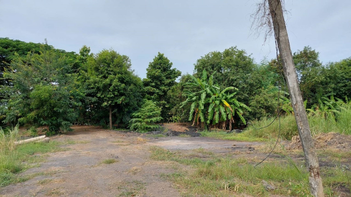 Residential land/lot Phra Nakhon Si Ayutthaya Maha Rat Tha To 60000000