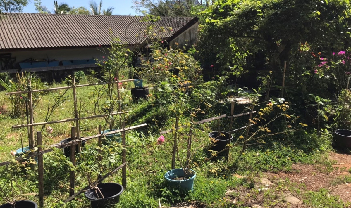 Residential land/lot Phangnga Mueang Phang-nga Thai Chang 1400000