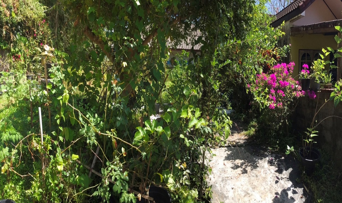 Residential land/lot Phangnga Mueang Phang-nga Thai Chang 1400000