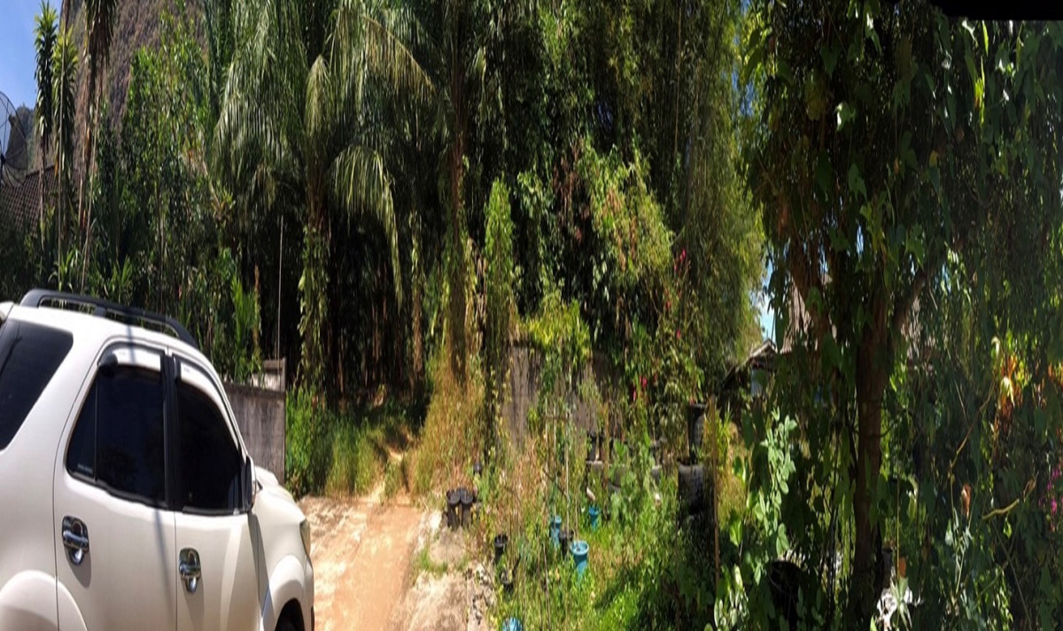 Residential land/lot Phangnga Mueang Phang-nga Thai Chang 1400000