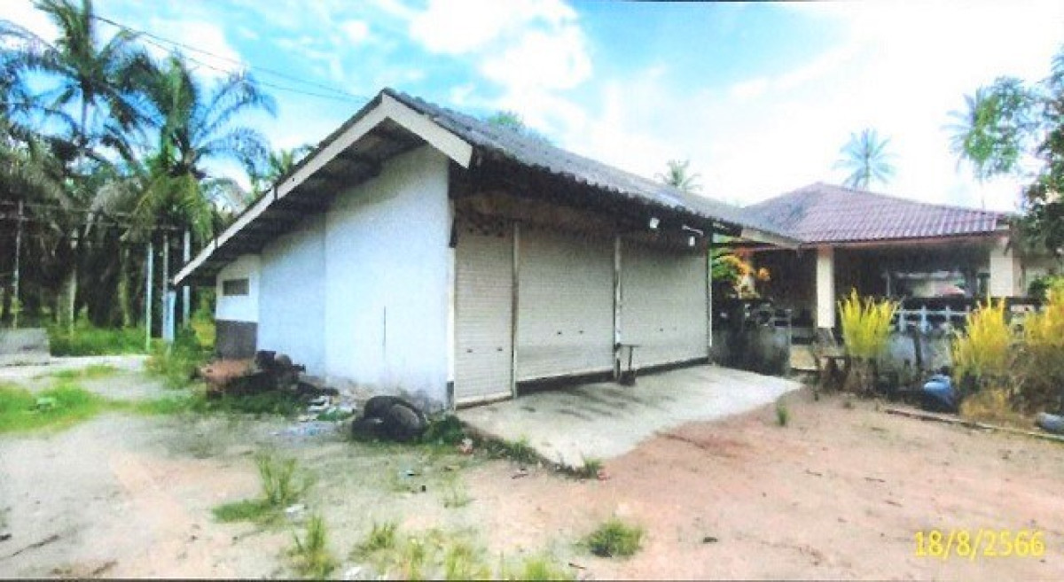 บ้านเดี่ยว สุราษฎร์ธานี ไชยา โมถ่าย 5109000