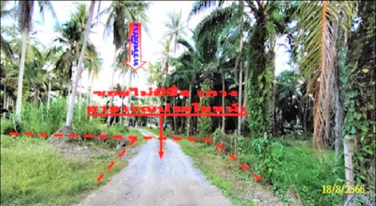 บ้านเดี่ยว สุราษฎร์ธานี ไชยา โมถ่าย 6074000