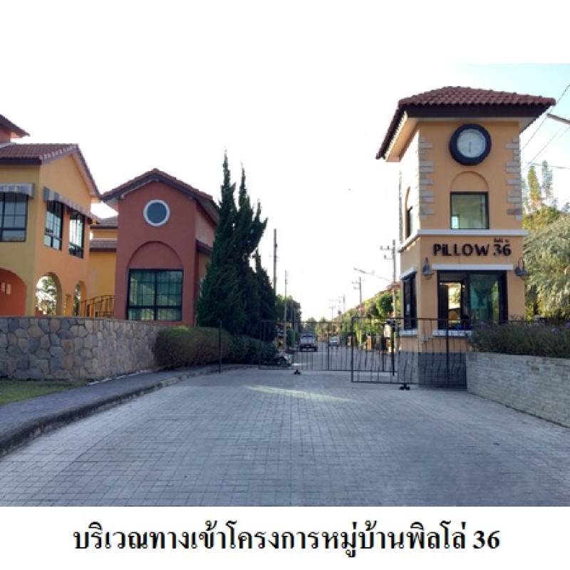 บ้านเดี่ยว พิลโล่ 36 เชียงใหม่ สันทราย หนองจ๊อม 4297600