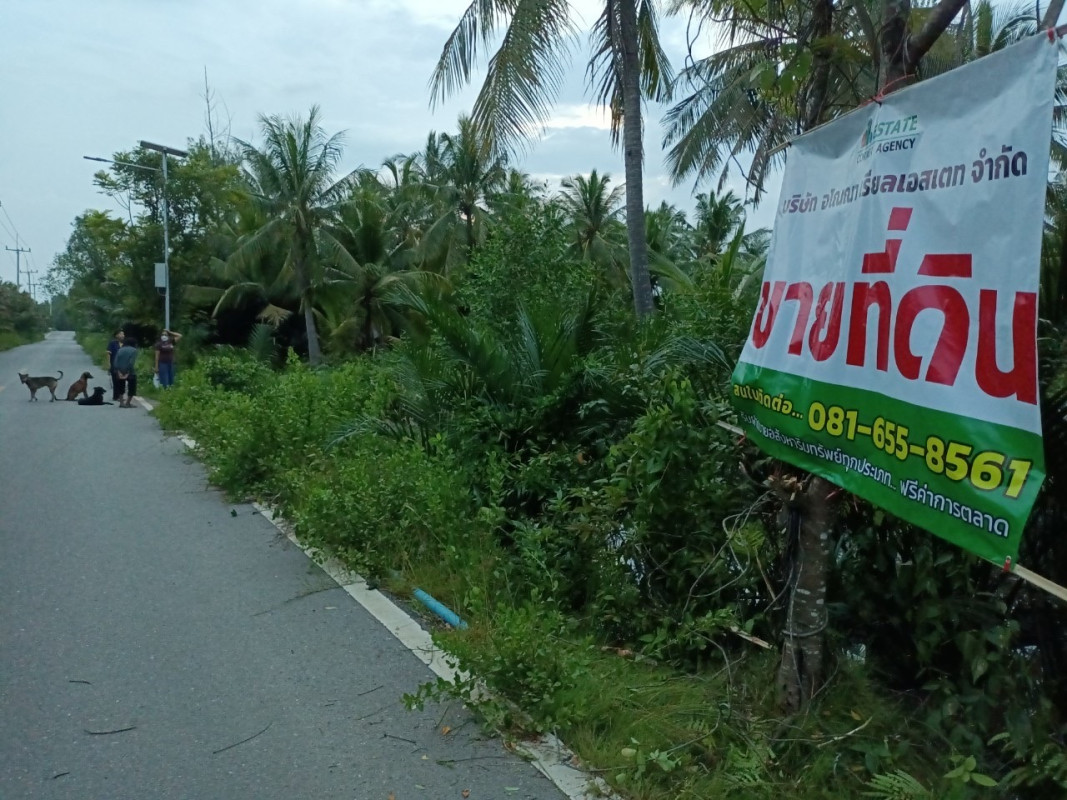 ที่ดินเปล่า สมุทรสงคราม เมืองสมุทรสงคราม แหลมใหญ่ 10205000